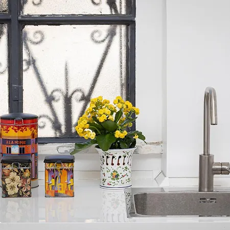 Amazing Penthouse Vaticano *